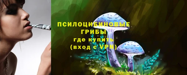 стаф Балахна
