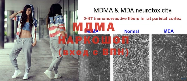 стаф Балахна