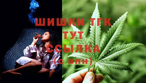 стаф Балахна