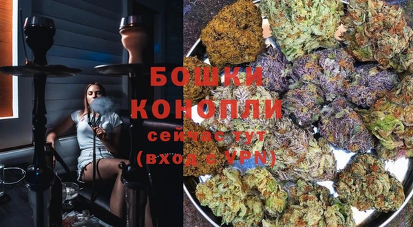 стаф Балахна