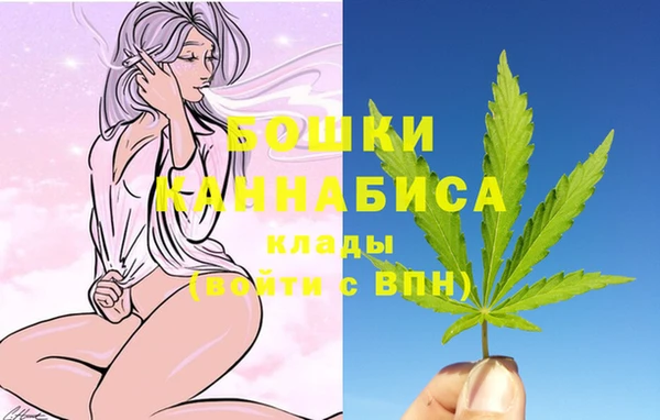 стаф Балахна