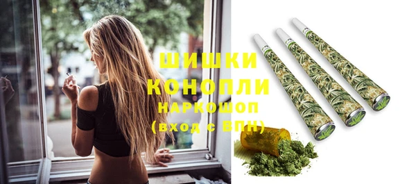 стаф Балахна